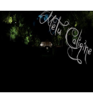 Metu Caligine Steam Key GLOBAL